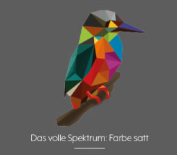 vogel